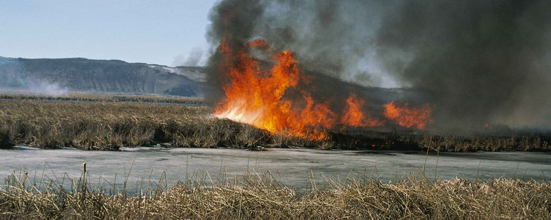 Fire Beaters Tackle Grass Fires