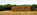 Farm fire safety regulations