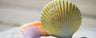 Shell Shocked