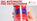 1kg Automatic Stored Pressure Dry Powder Fire Extinguisher (79 degree bulb)