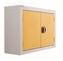 Wall Mounted Workplace Cabinet