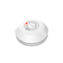 Firechief 10 Year Battery Optical Smoke Alarm