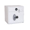 Phoenix Diamond HS1091 Deposit Safe