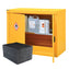 Flammable Liquid Storage Cabinets with Absorbent Pads