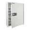 Phoenix Cygnus Key Safes