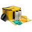 Acid and Alkali Spill Kit