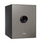 Phoenix LS6011F Spectrum Plus Safes