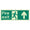 Fire exit man arrow up 400 x 150 Photoluminescent